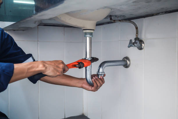 Best Clogged Drain Plumber  in Newport, NC