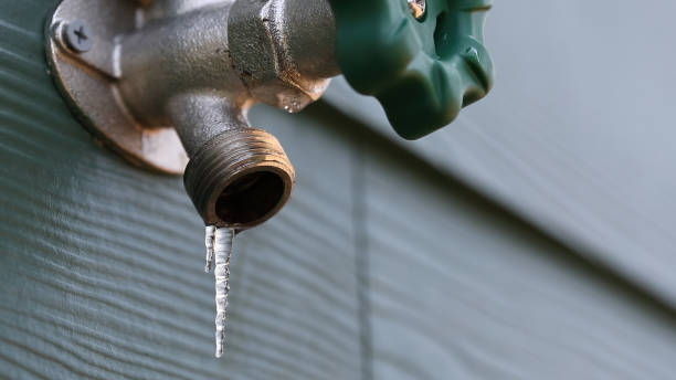 Best Local Plumber Services  in Newport, NC